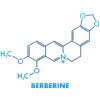 Berberine concept chemical formula icon label, text font vector illustration