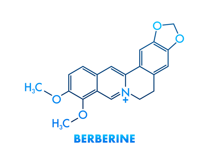 Berberine concept chemical formula icon label, text font vector illustration